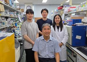 KAIST Develops AI Technology That Predicts and Assembles Cell Drug Responses Like Lego Blocks​
