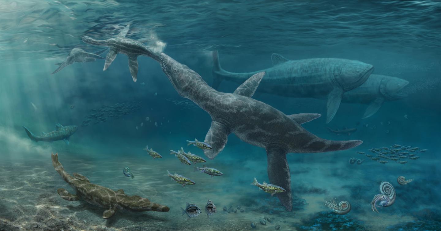 Jurassic Seas
