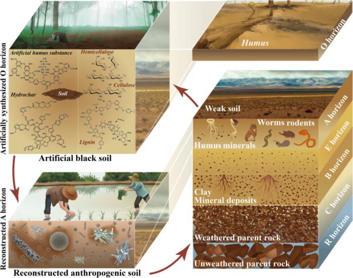Anthropogenic soil as an environmental material, as exemplified with improved growth of rice seedlings