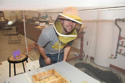 UA Engineers Study Birds and Bees to Design Robust Unmanned Vehicles