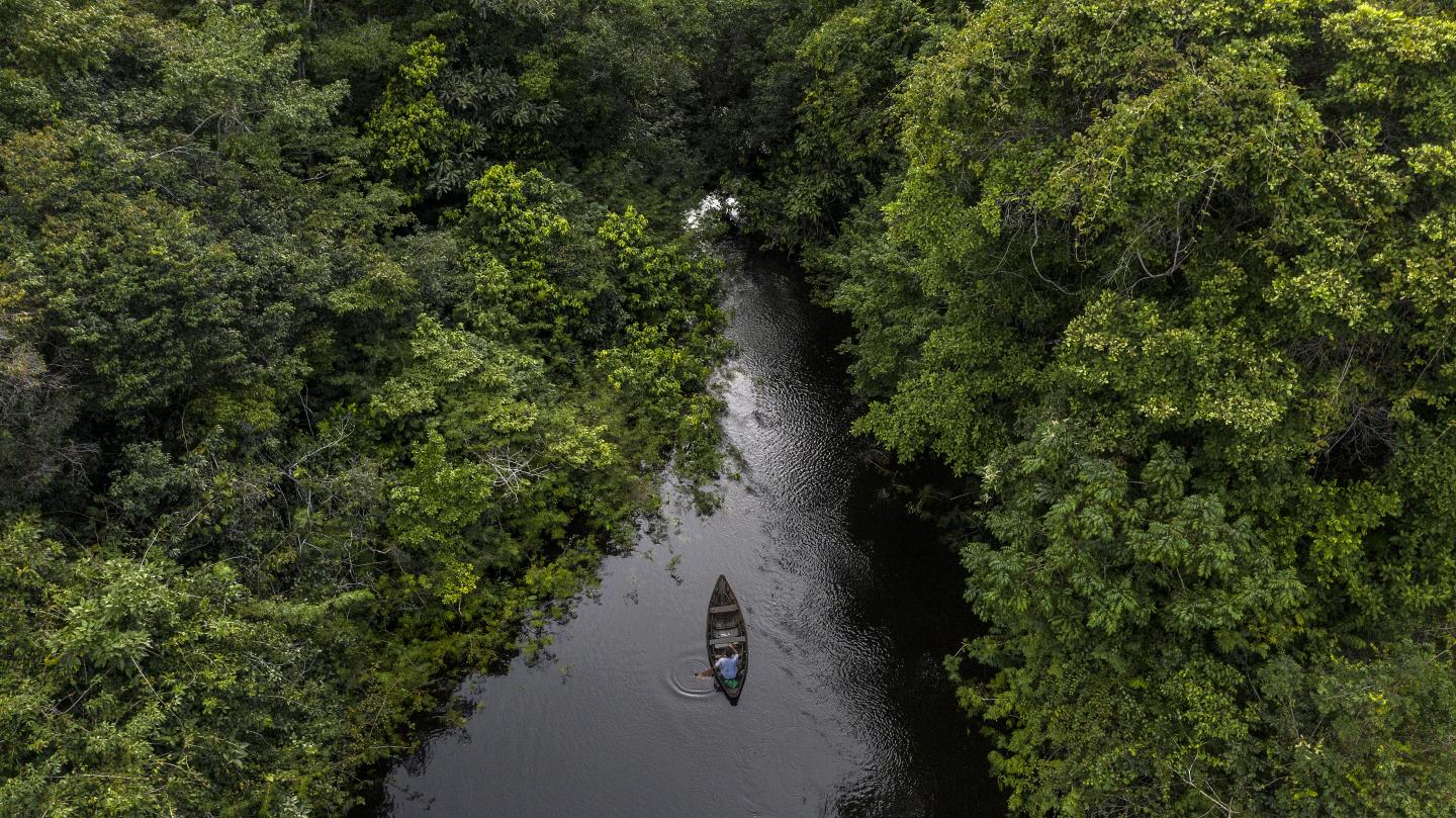Flona Tapaj&oacute;s, Par&aacute;, Brasil