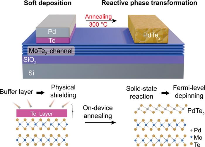 Reactive phase-transformed contacts preserve fragile interfaces in 2D transistors