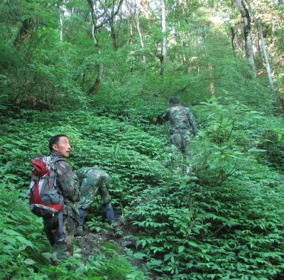 Monitoring in Wolong