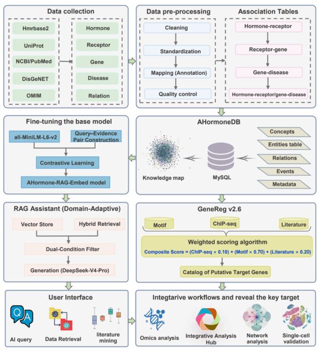 AHormoneDB framework and GeneReg evidence prioritization