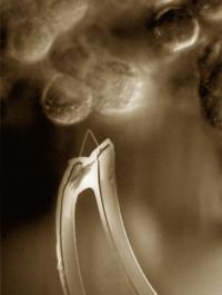 Two-Terminal Nanoscale Transistor Sensor