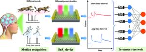In-sensor motion recognition based on a 2D optoelectronic reservoir