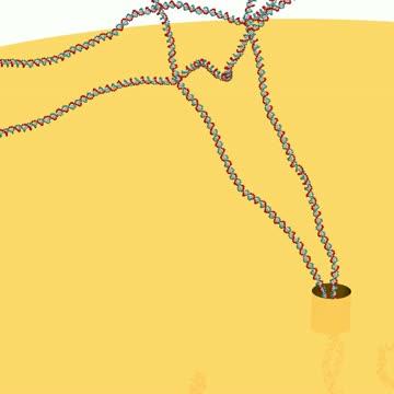 The Passage of Knotted DNA through Nanopores