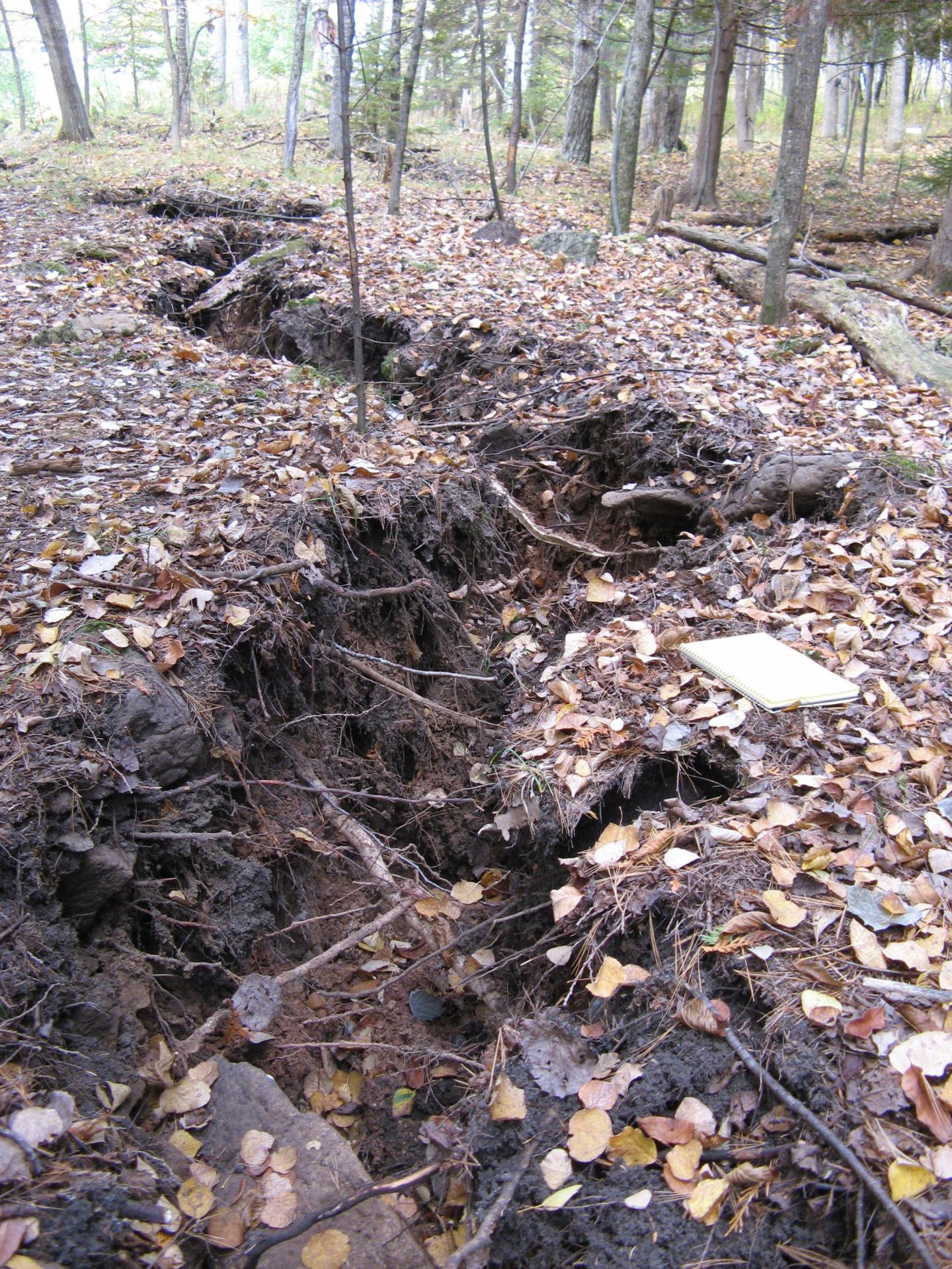 Menominee Crack Closeup