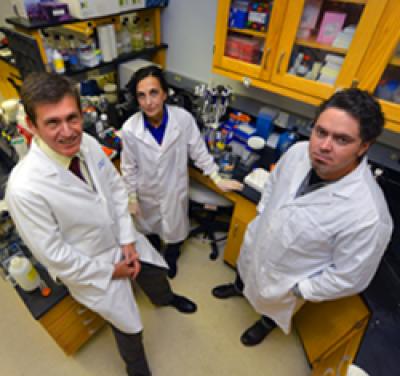 Michael P. Madaio, Nino Kvirkvelia  and Tracy L. McGaha,  Medical College of Georgia 