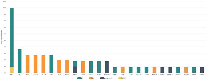Incidence of KRAS G12C mutations in genitourinary malignancies; emerging target in precision medicine
