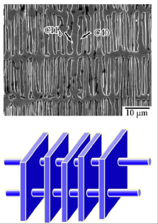 Cross-Lamellar Microstructure
