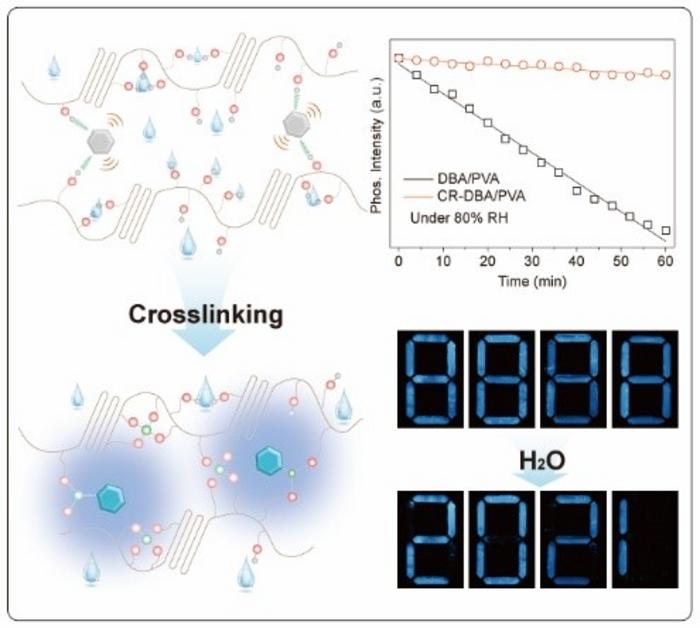 Construction of humidity-resistant ultralong organic phosphorescence polymers and its practical applications