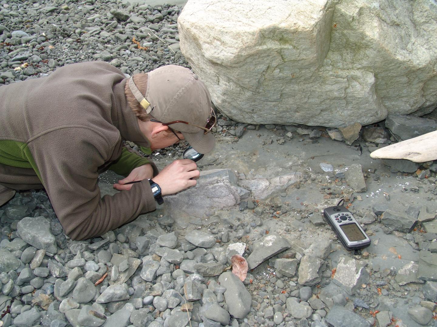 Fieldwork