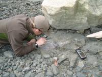 Fieldwork