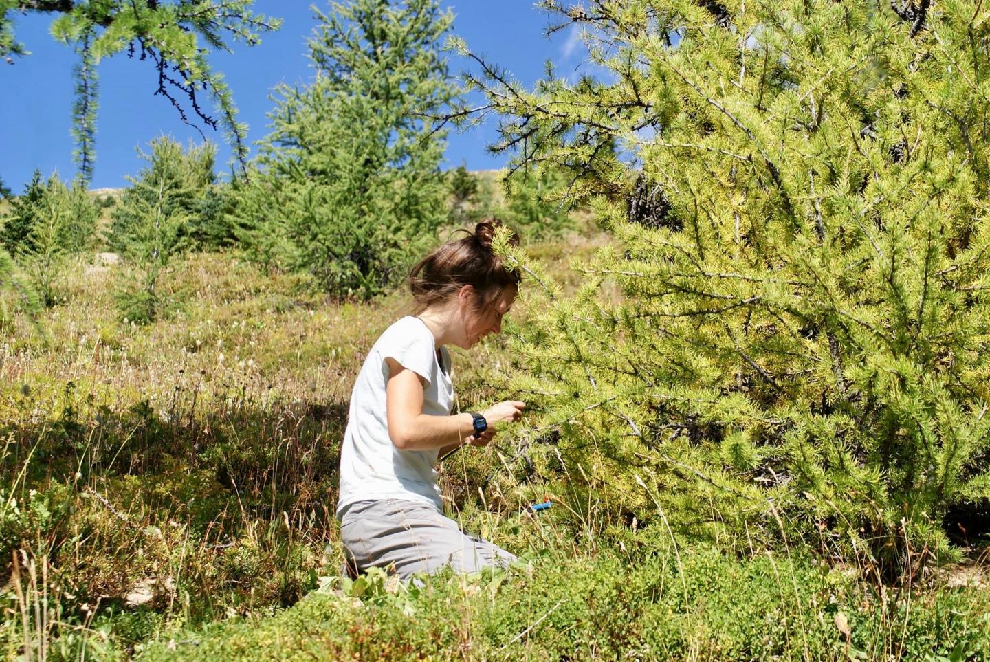 University of Guelph Researcher Emma Davis in the Field
