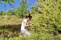 University of Guelph Researcher Emma Davis in the Field