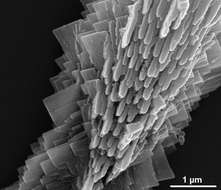 Biomimetic Mineral Self-Organization from Silica-Rich Spring Waters (6 of 9)