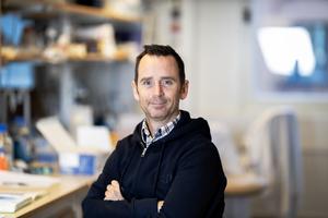 Colm Nestor Linköping University