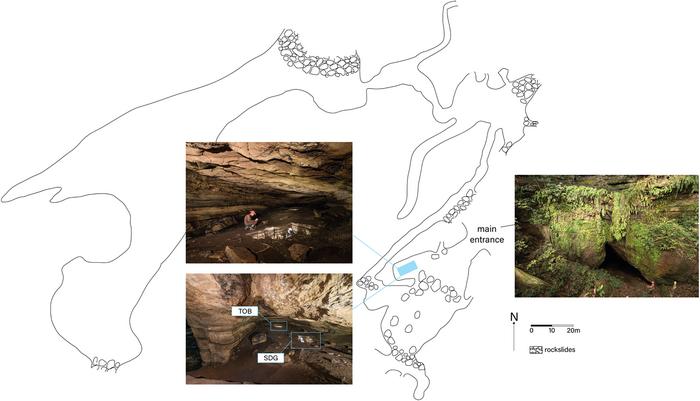 Pahon Cave, Gabon: New insights into the Later Stone Age in the African rainforest