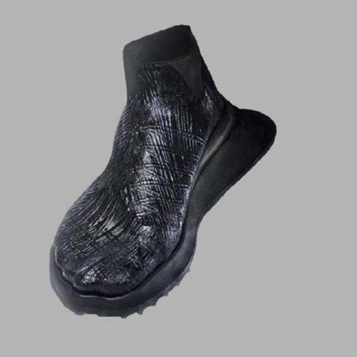 Shoe