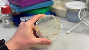 Lab @DTU Food
