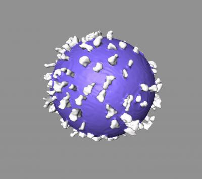 AIDS Virus