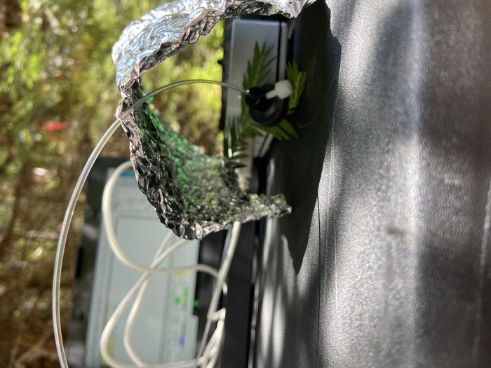 redwood branch aluminum foil treatment