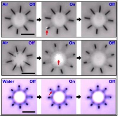 Microactuator Under Pulsed Laser Light