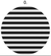 Neutron Holography 2