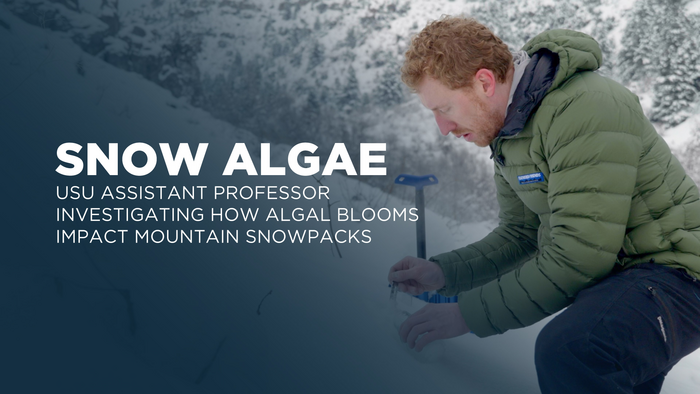 Investigating How Algal Blooms Impact Mountain Snowpack