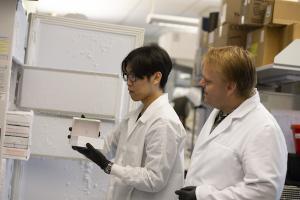 Zika Research