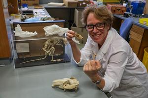 Flinders University Associate Professor Vera Weisbecker