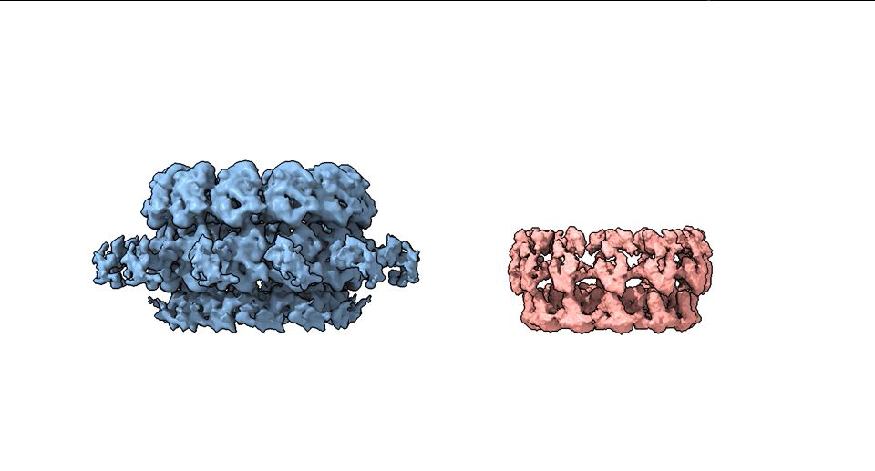 Viral replication machinery