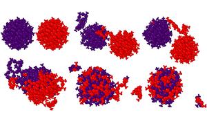 Atomistic snapshots