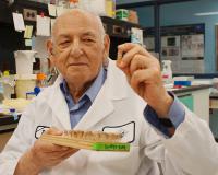Abraham Eisenstark, Cancer Research Center
