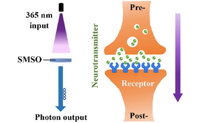 Excitatory impulse wit luminescence as the optical output