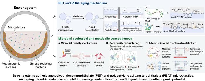 Sewer-Driven Microplastic Aging and Its Cascade Effects on Microbial Ecology and Metabolism