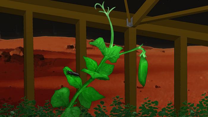 peas on Mars