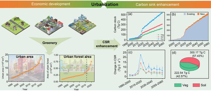 Carbon sink in China’s urban forests under three climate scenarios during 1995–2060
