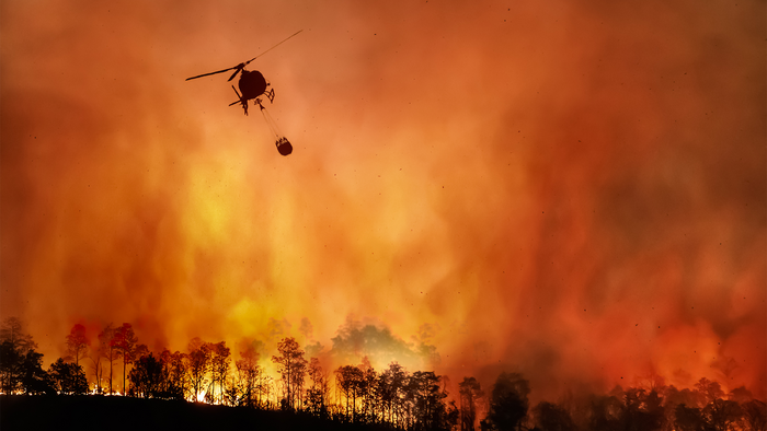 Wildfire in forested area