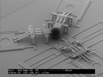 DNA Nanoinjector