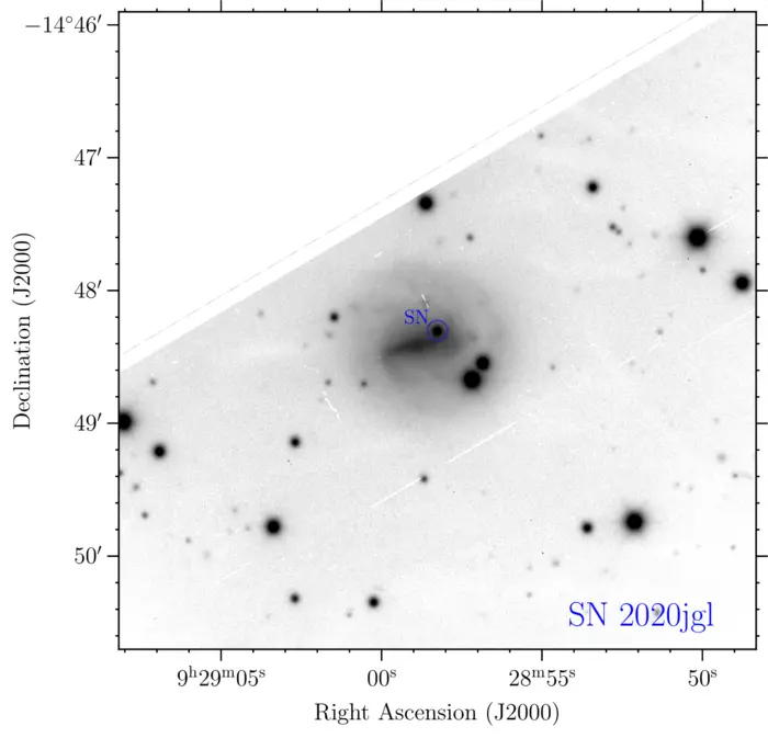 Example of observations used in the study
