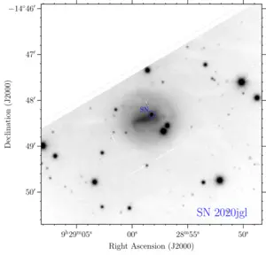Example of observations used in the study
