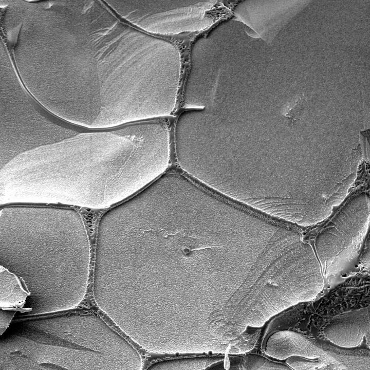 Ice Crystals
