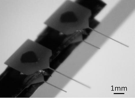 Diamond Fibers