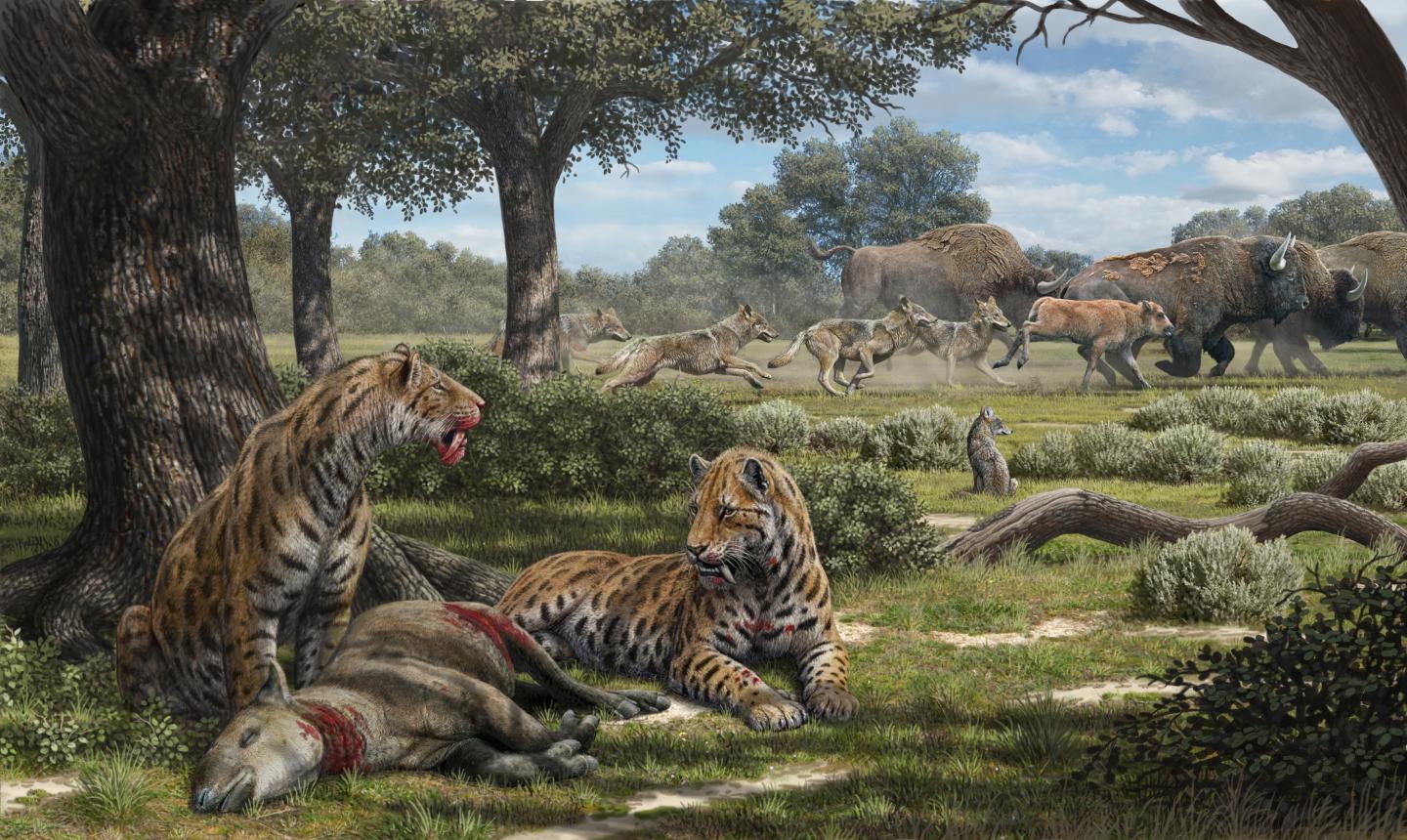 La Brea Predation Scene
