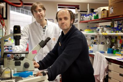CNIO researchers