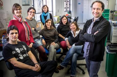 Moisés Mallo Research Group at IGC