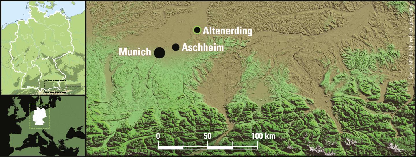Excavation Site