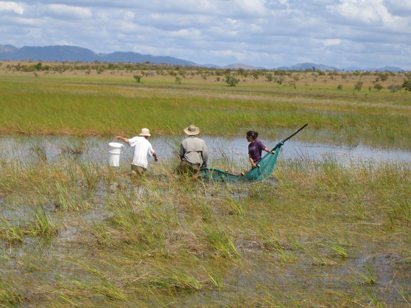 Dry Season